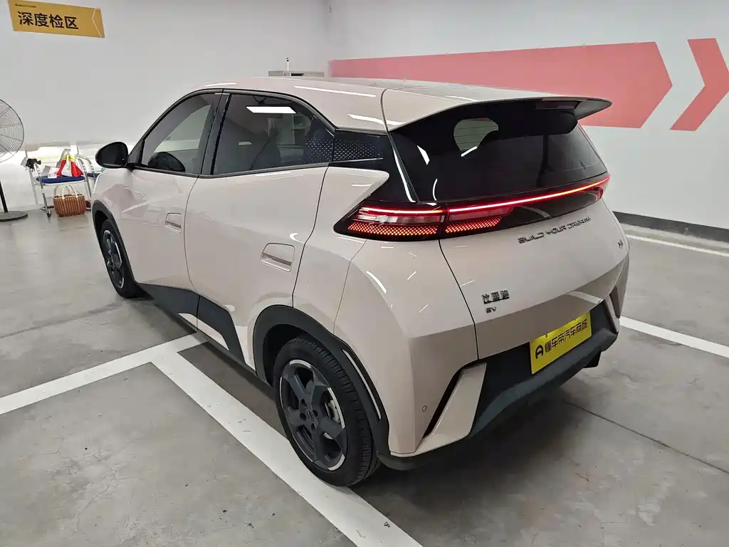 BYD Seagull 2024
