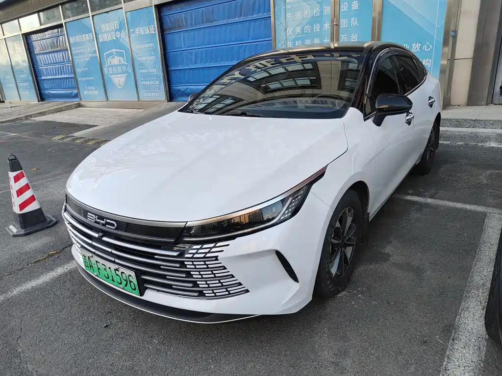 BYD Destroyer 05 2024 — фото 1