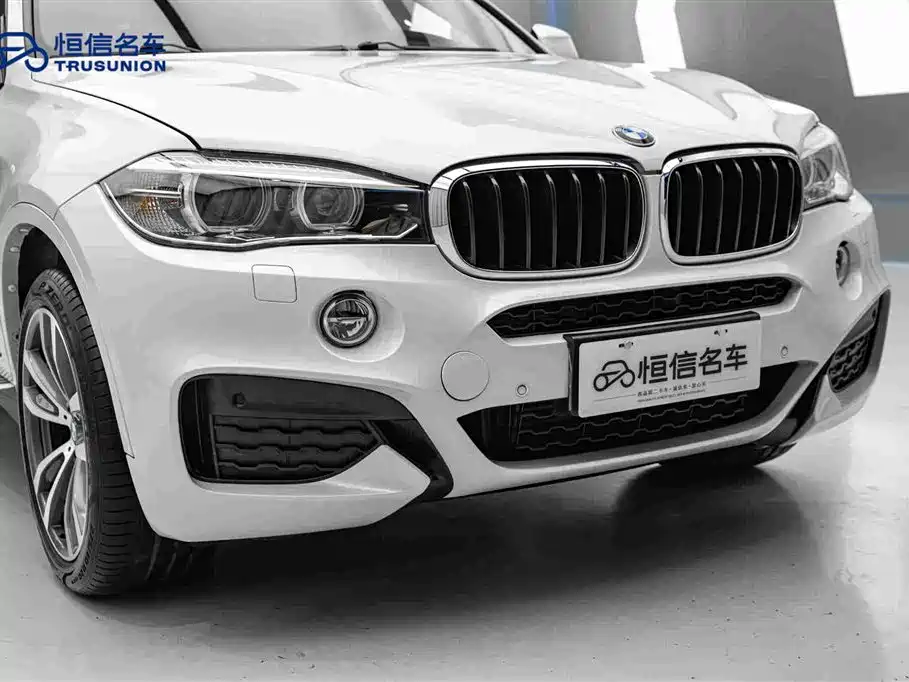 BMW X6 2019 — фото 9