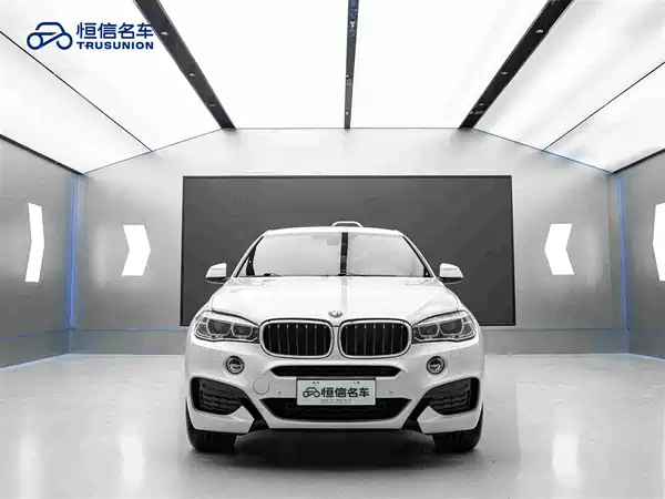 BMW X6 2019