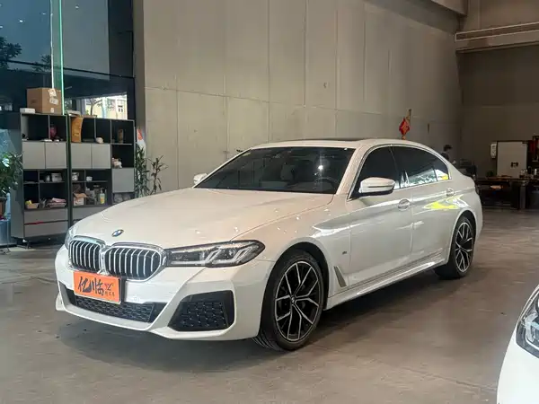 BMW 5 Series 2021
