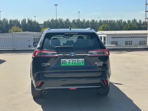 Toyota Weilanda New Energy 2023