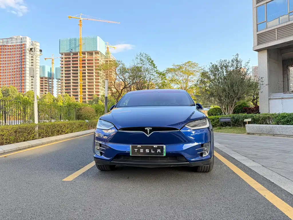 Tesla Model X 2019 — фото 2