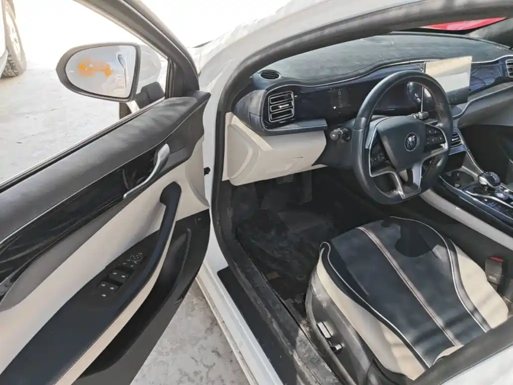 BYD Qin PLUS 2023 — фото 16