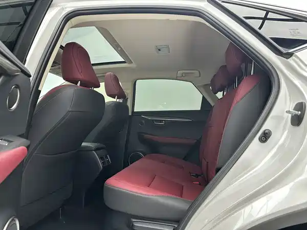 Lexus NX 2021