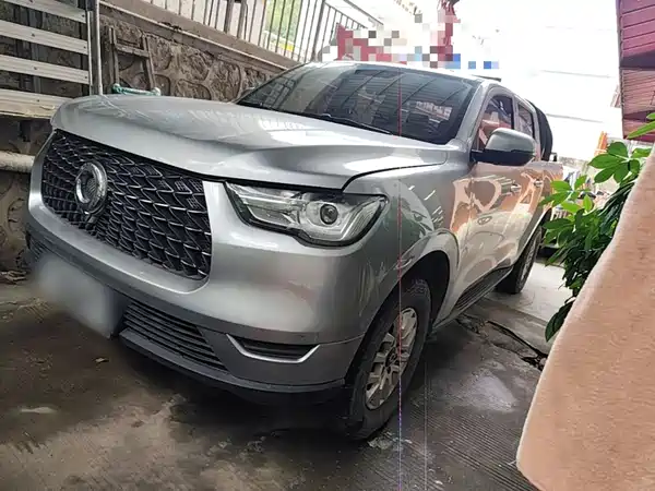 Great Wall Poer 2020