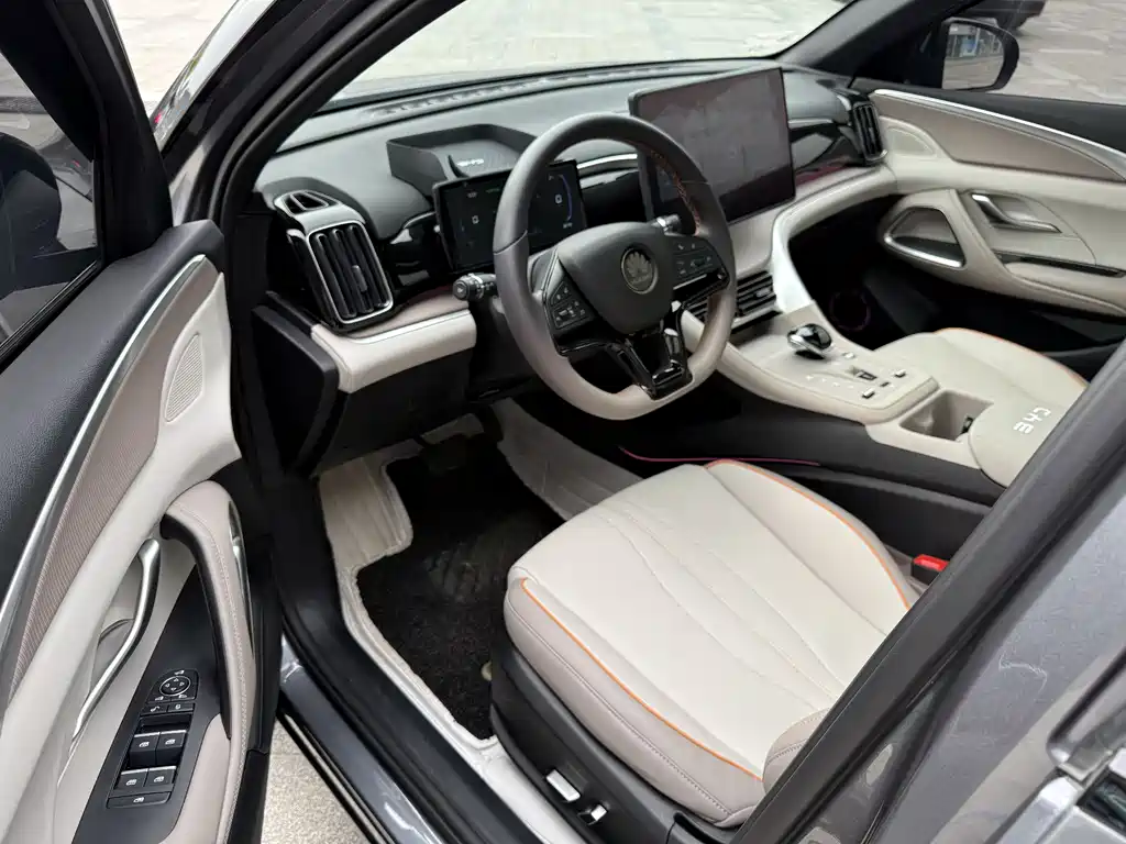 BYD Pro New Energy 2024 — фото 10