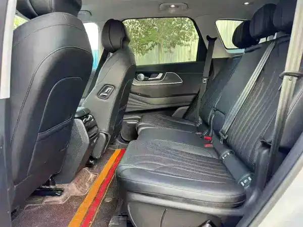 Chery Fengyun T9 2024