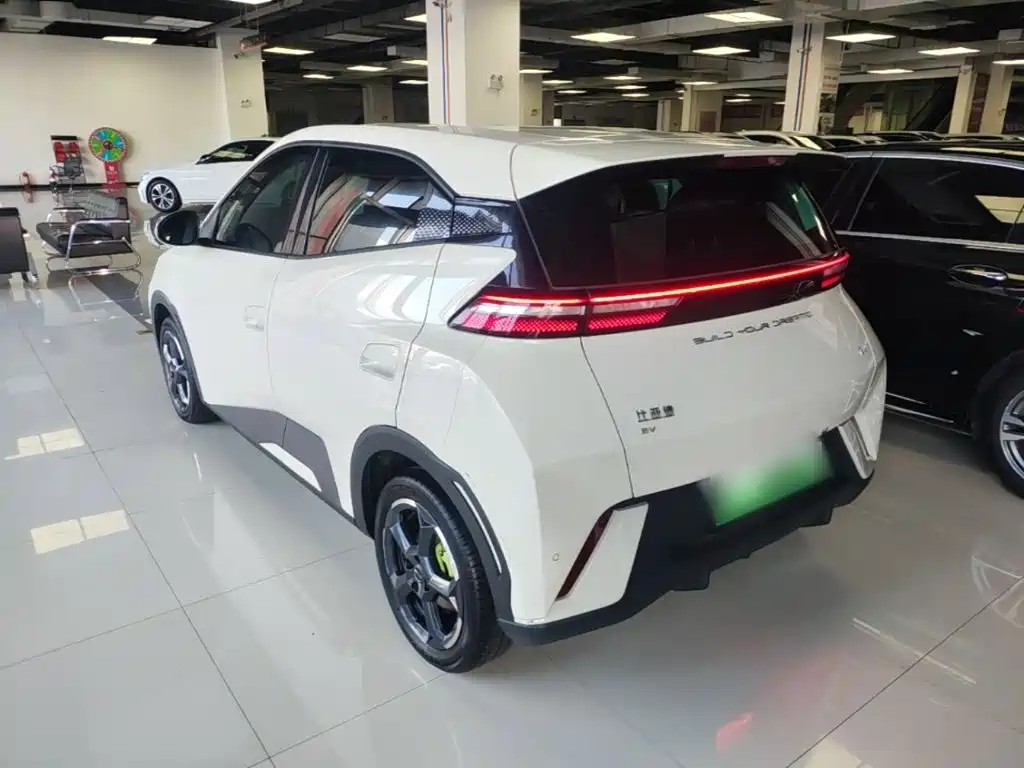BYD Seagull 2024