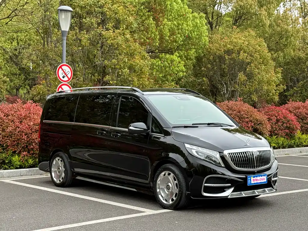 Mercedes-Benz V-Class 2021 — фото 2