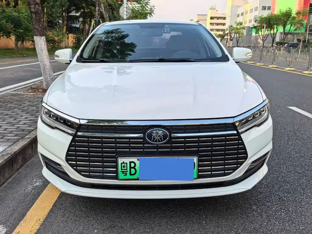 BYD Qin NEV 2020 — фото 2
