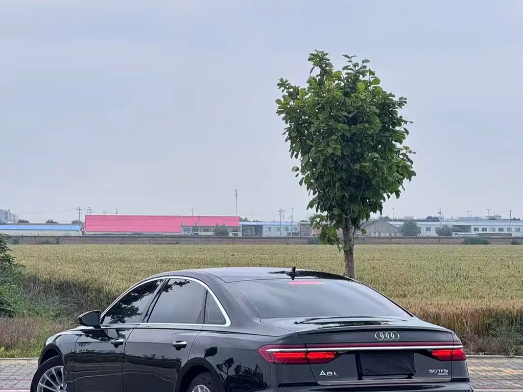 Audi A8 2019 — фото 9