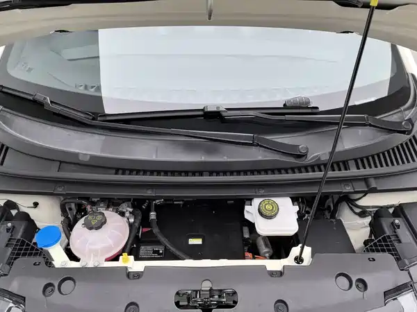 BYD Dolphin 2023