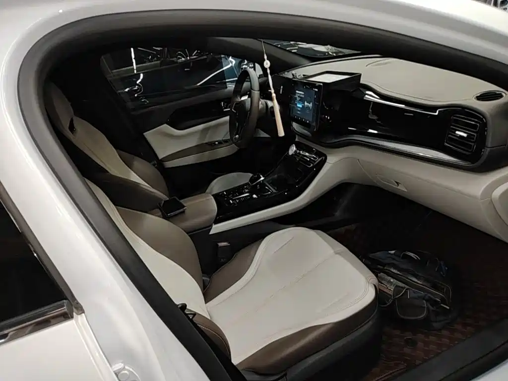 BYD Qin PLUS 2023 — фото 25