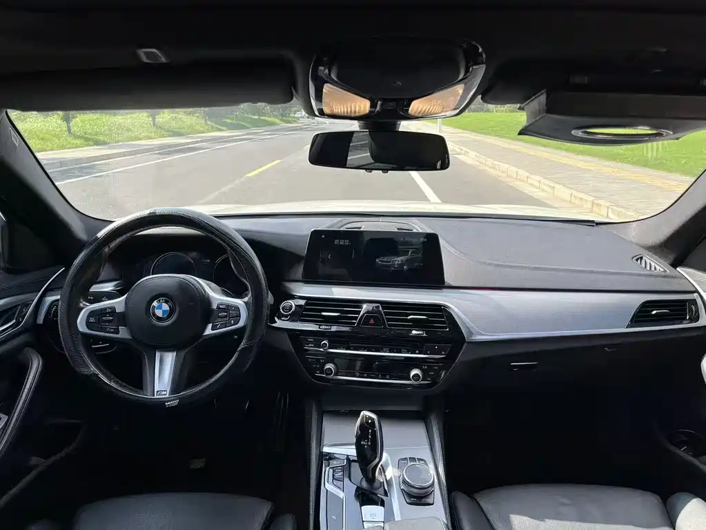 BMW 5 Series 2018 — фото 13