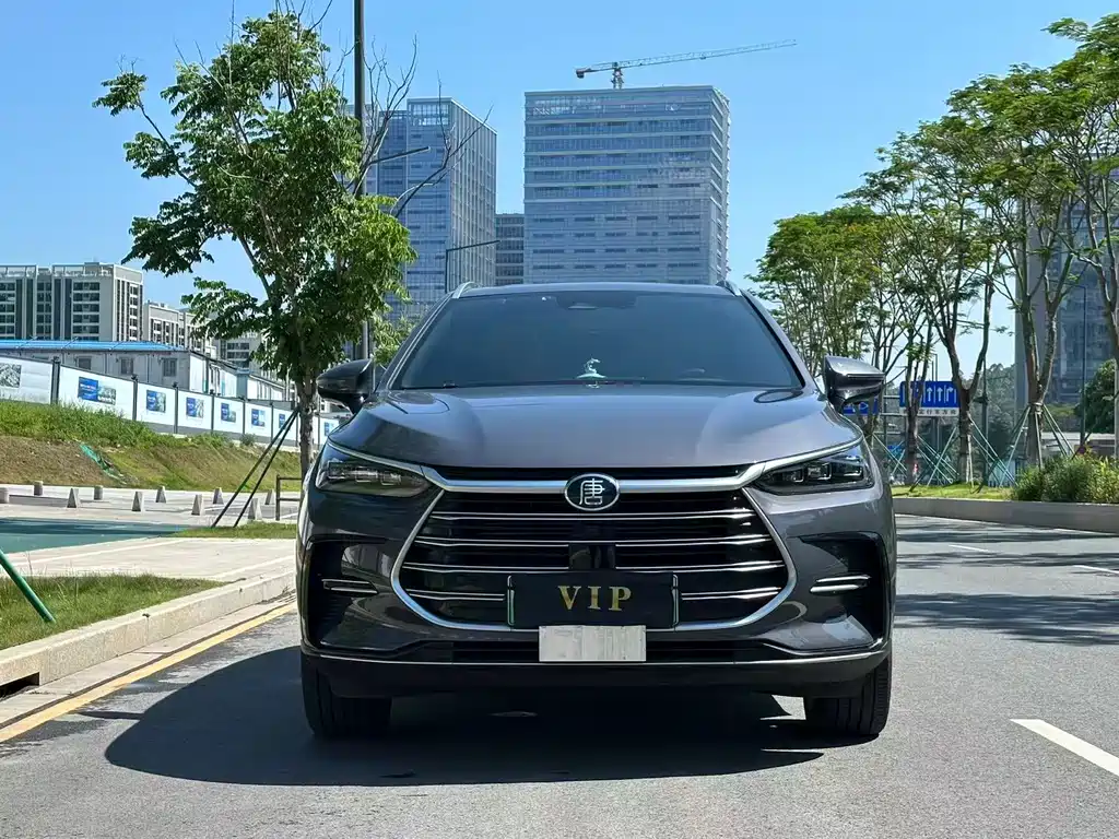 BYD Tang New Energy 2023 — фото 2