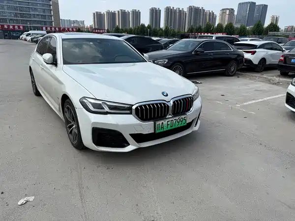 BMW 5 Series New Energy 2021