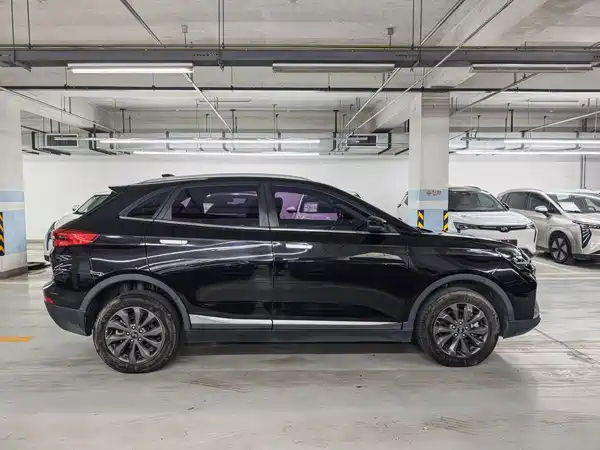 WM Motor EX5 2019