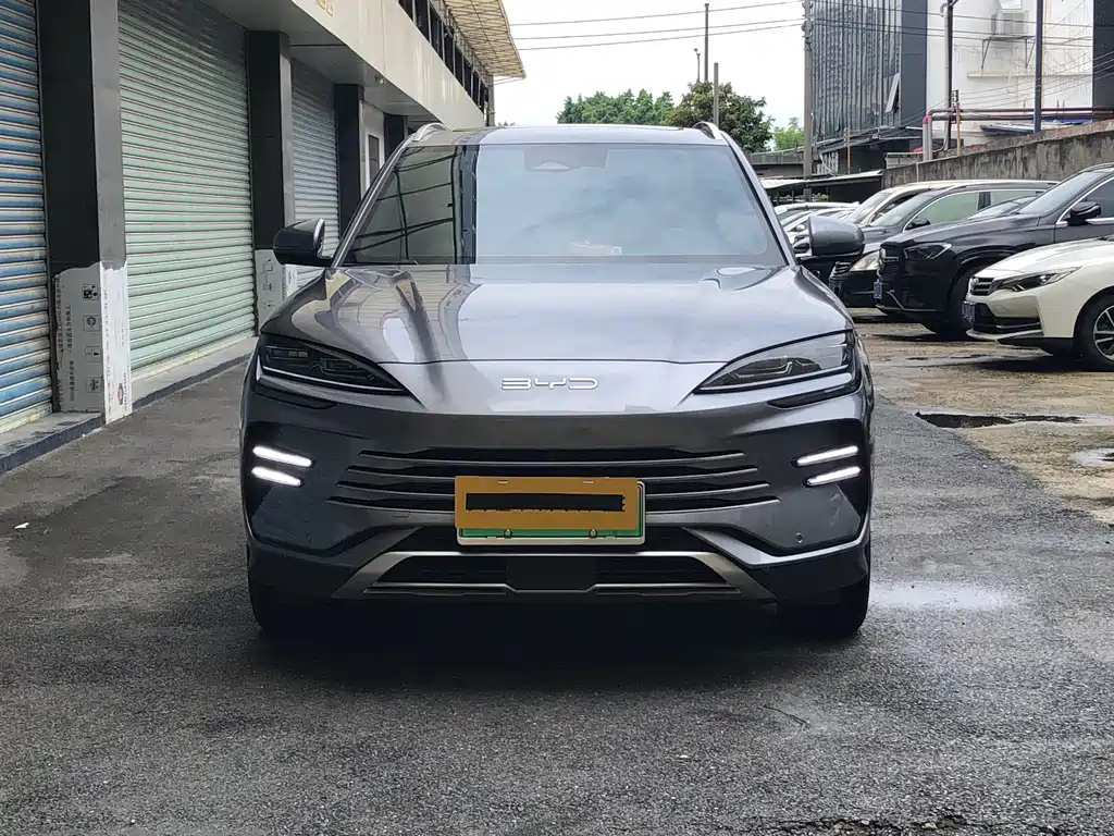 BYD PLUS New Energy 2023 — фото 2