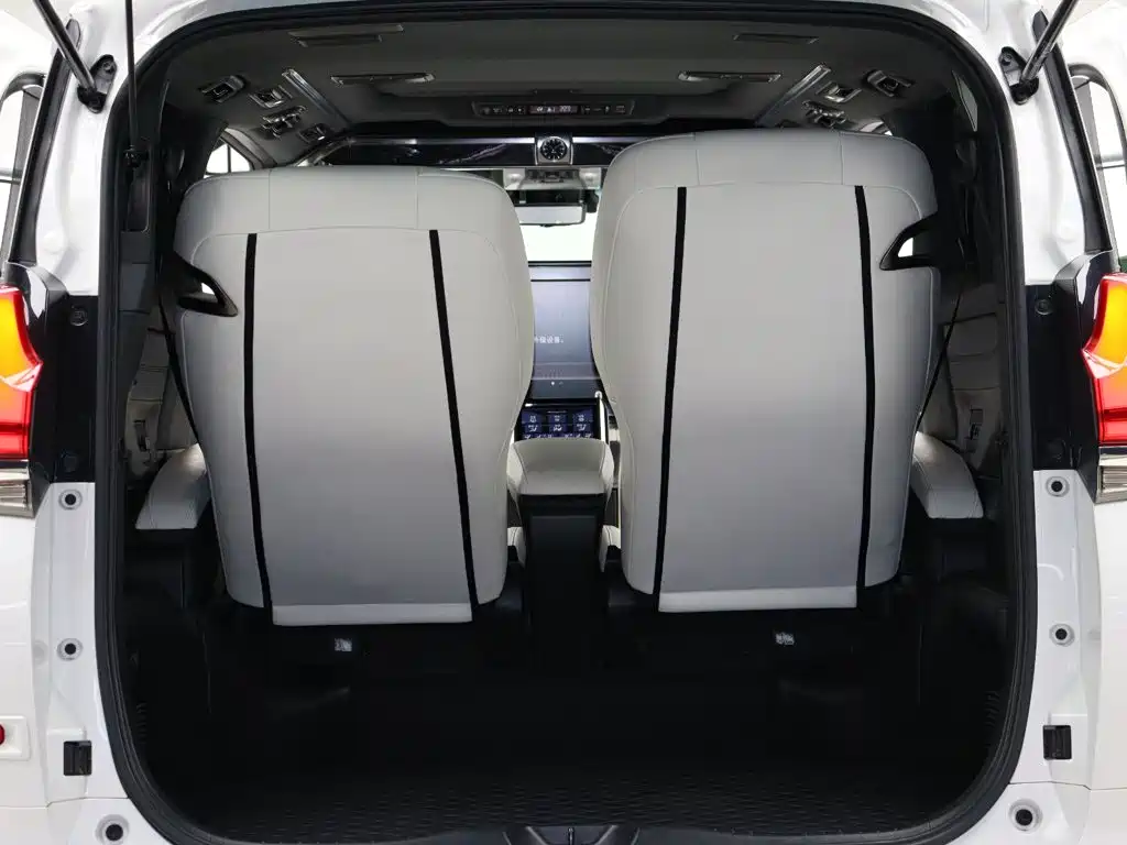 Lexus LM 2020 — фото 15