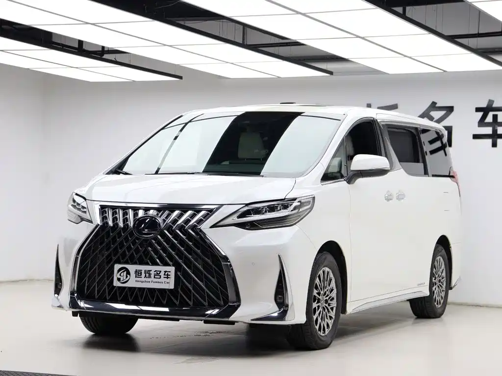Lexus LM 2020 — фото 26