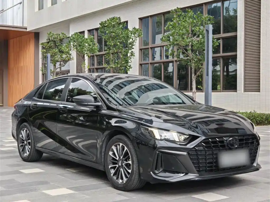 GAC Motor Shadow Leopard 2024 — фото 24