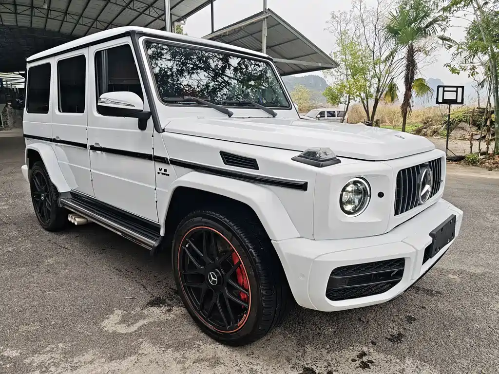 Mercedes-Benz G-Class 2018 — фото 2