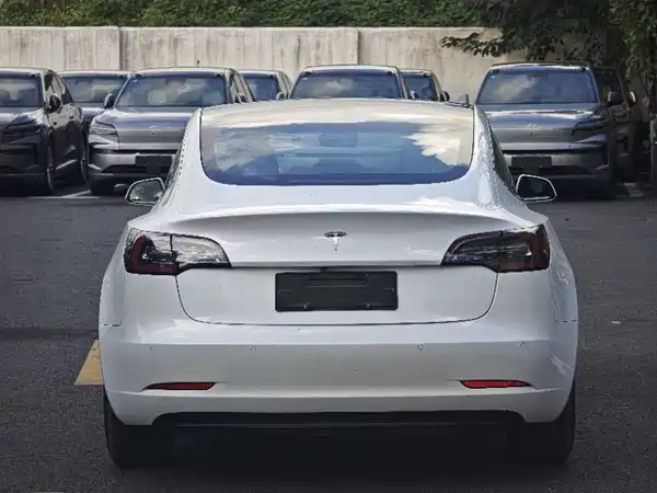 Tesla Model 3 2019
