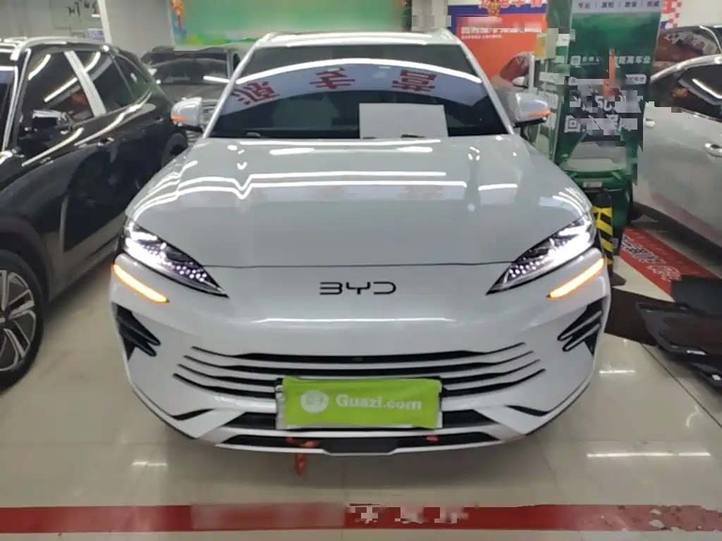 BYD PLUS New Energy 2025 — фото 3
