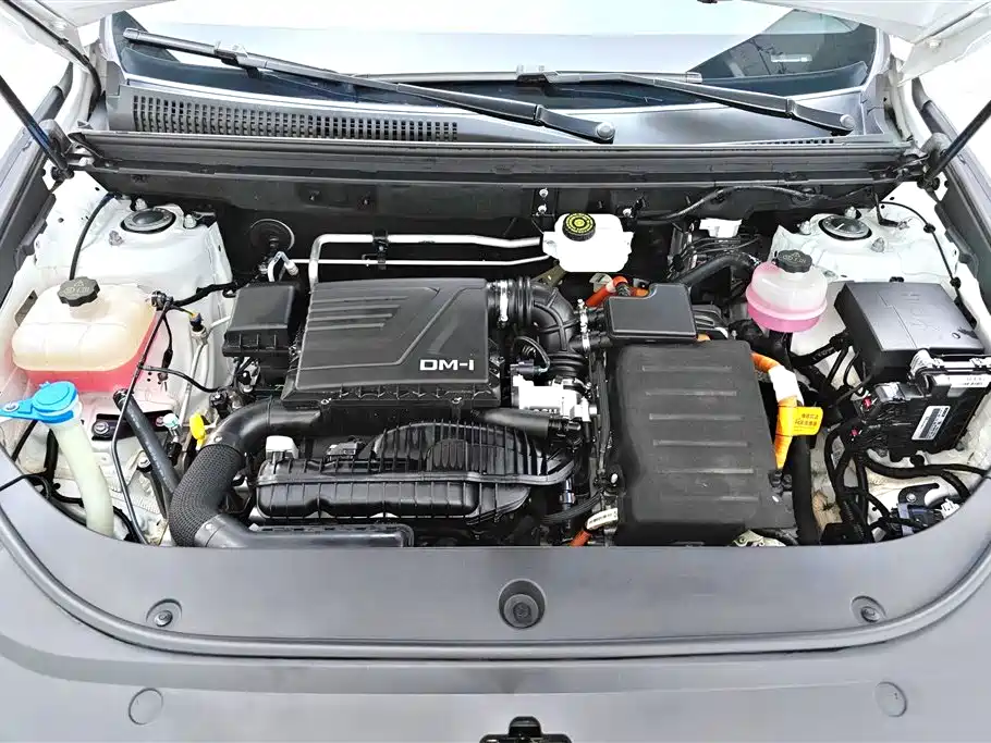 BYD Pro New Energy 2023 — фото 10