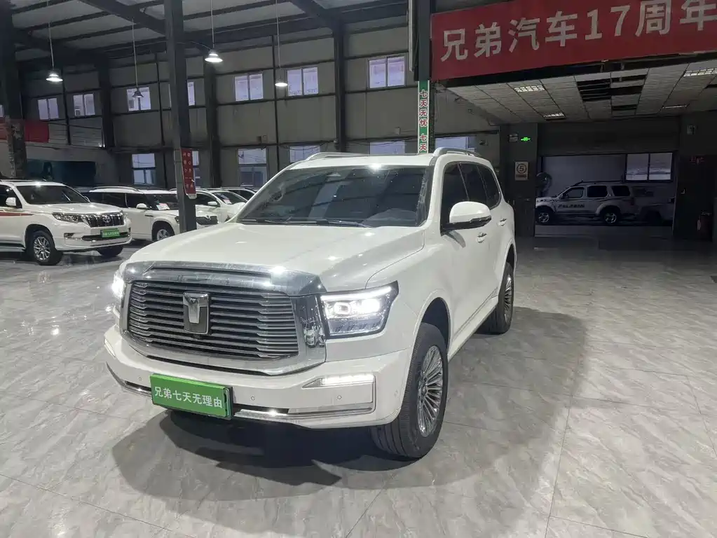 Tank 500 New Energy 2024