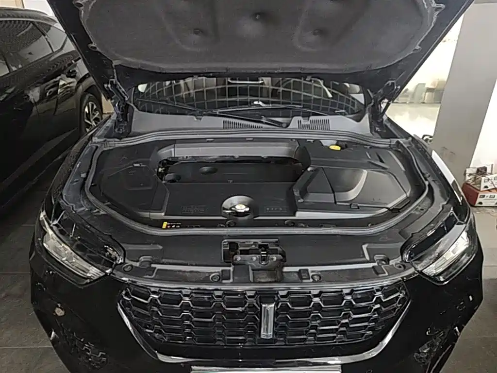 Wey VV5 2018 — фото 20