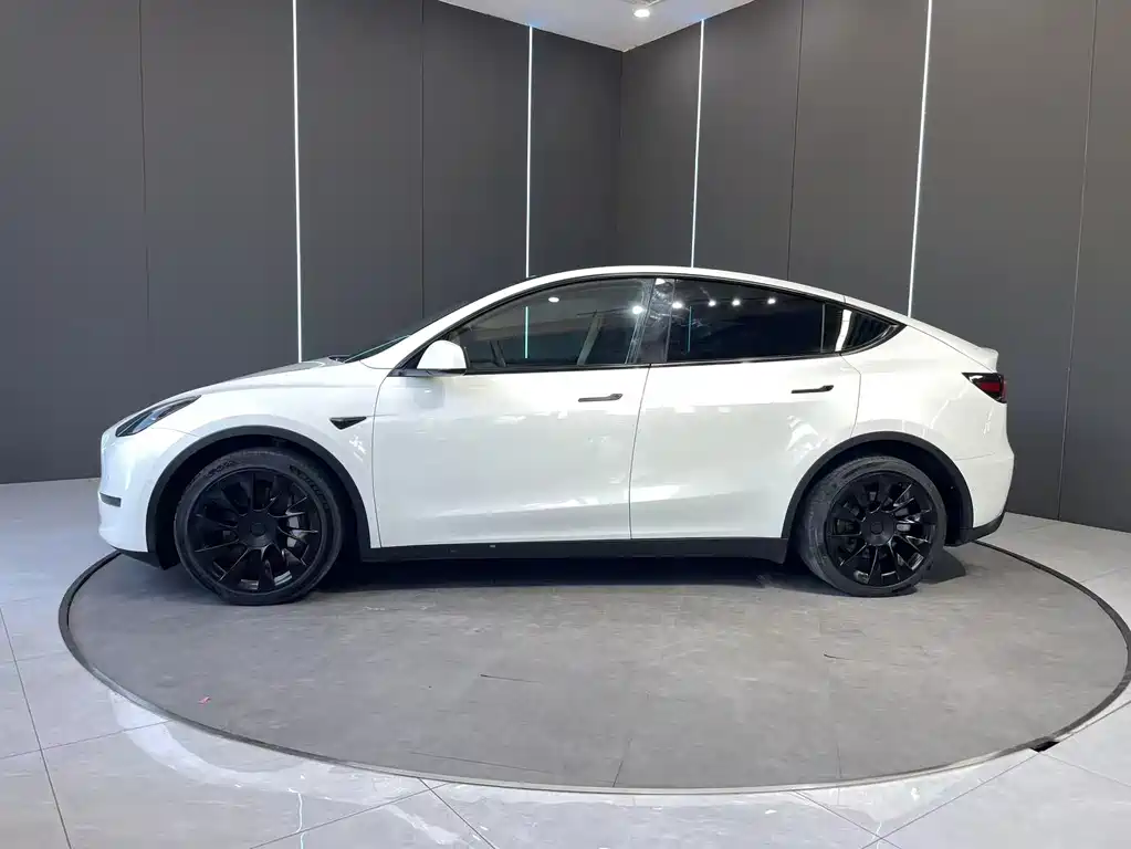 Tesla Model Y 2021 — фото 4