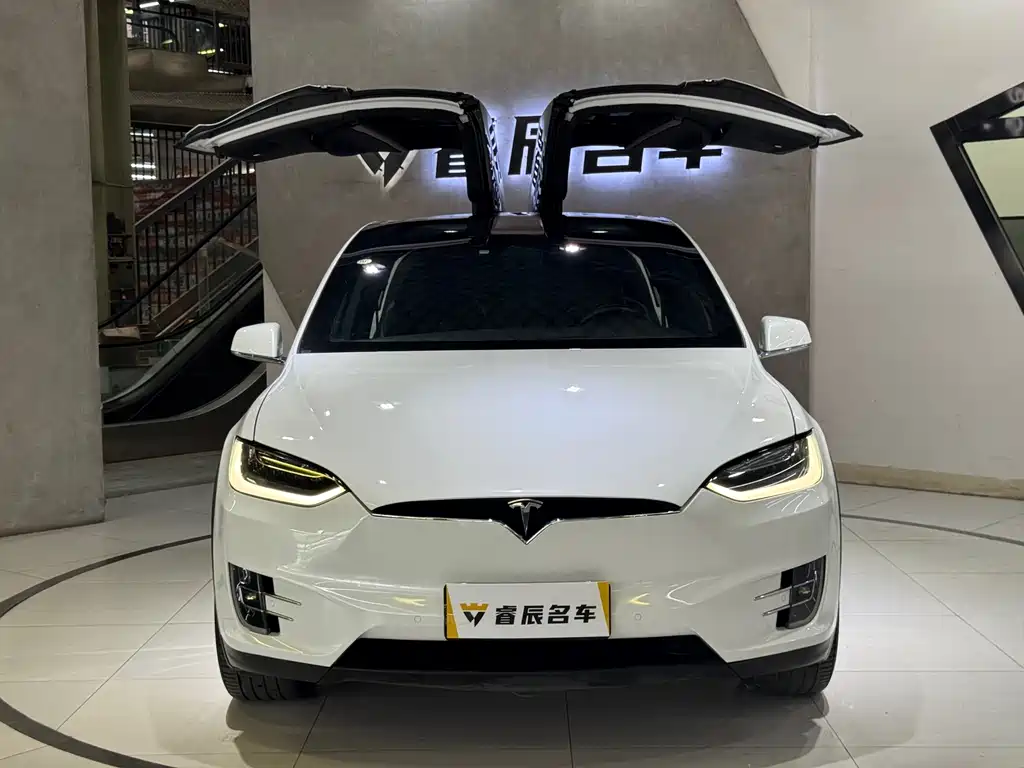 Tesla Model X 2019 — фото 4