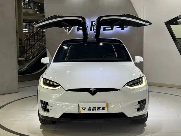 Tesla Model X 2019