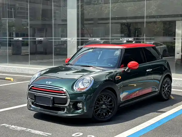 MINI 2018