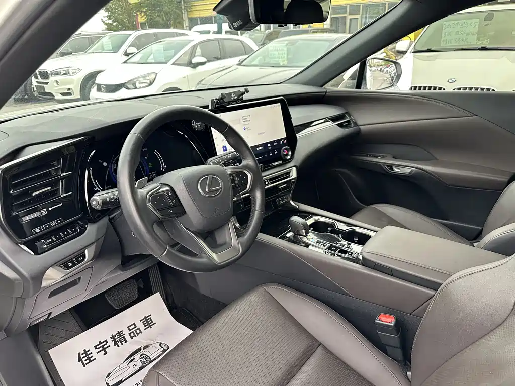Lexus RX New Energy 2024 — фото 9