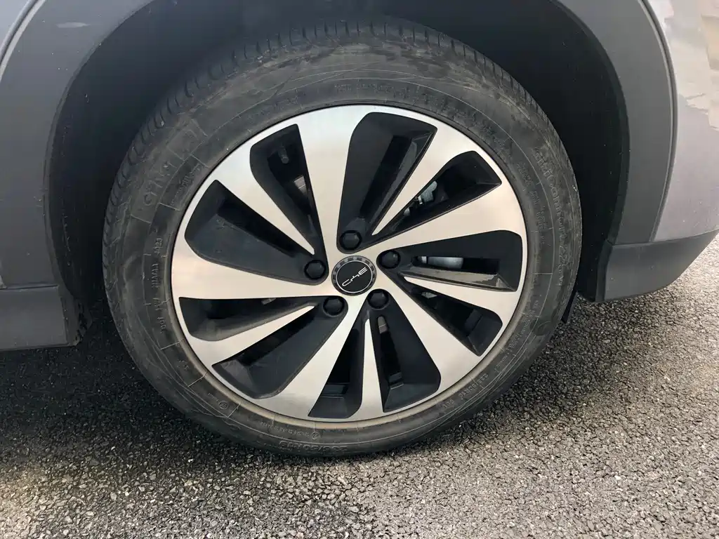 BYD PLUS New Energy 2023 — фото 13