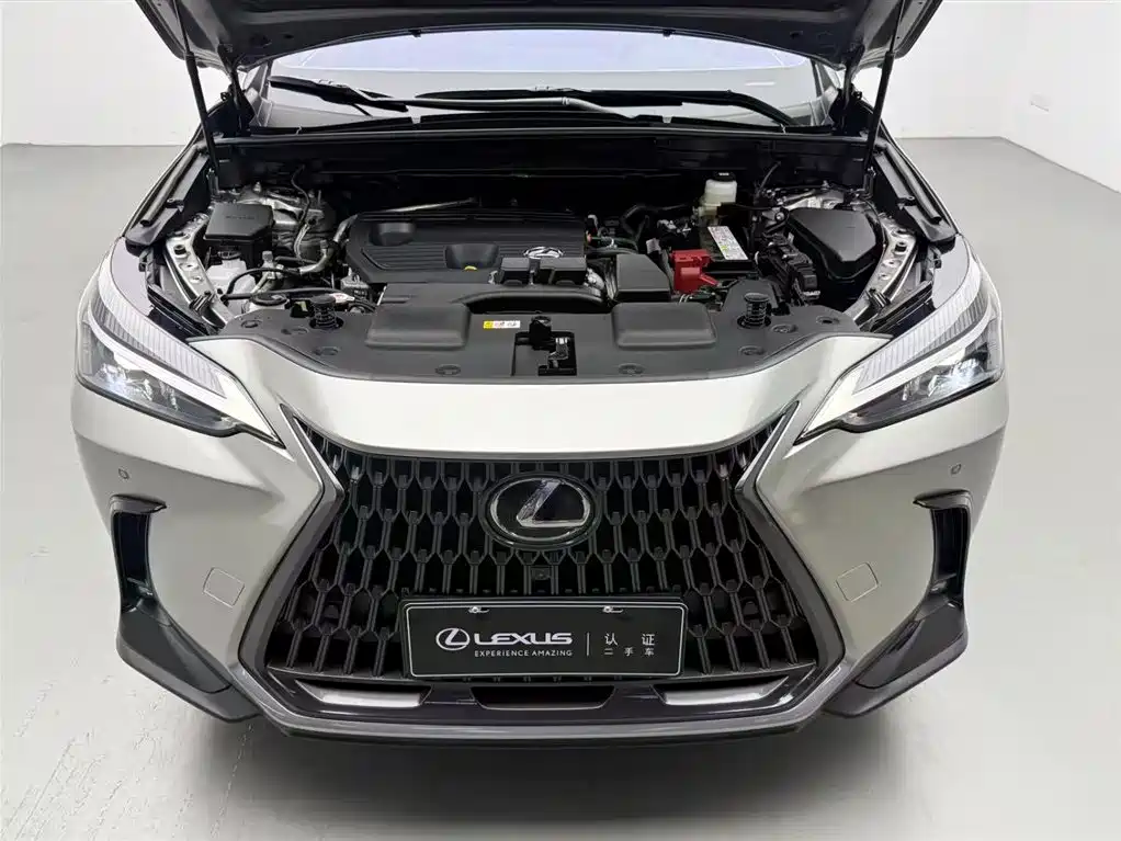 Lexus NX 2024