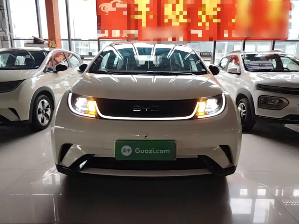 BYD Dolphin 2026