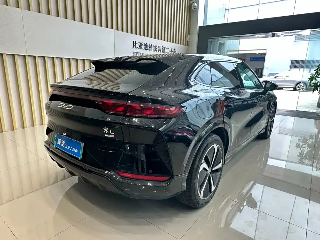 BYD Song L EV 2025 — фото 10