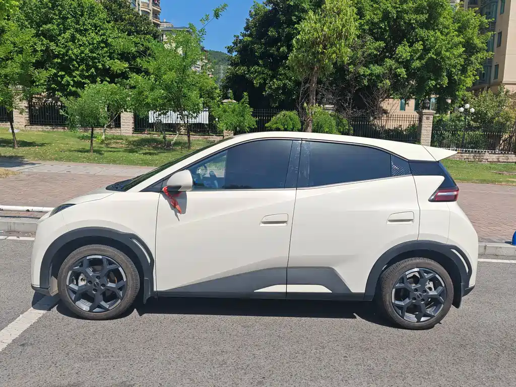 BYD Seagull 2025