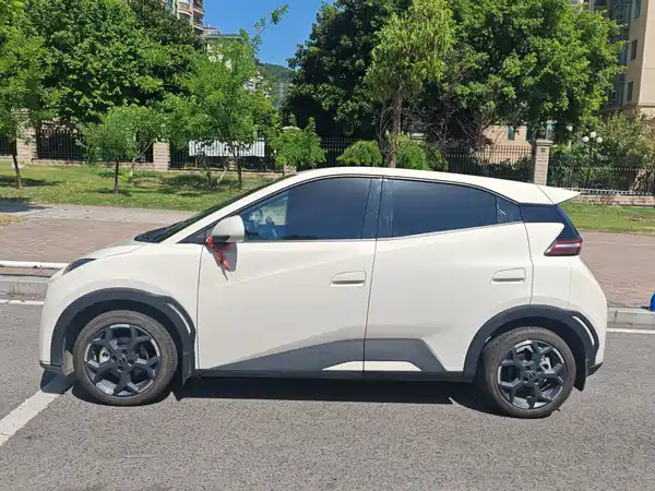 BYD Seagull 2025