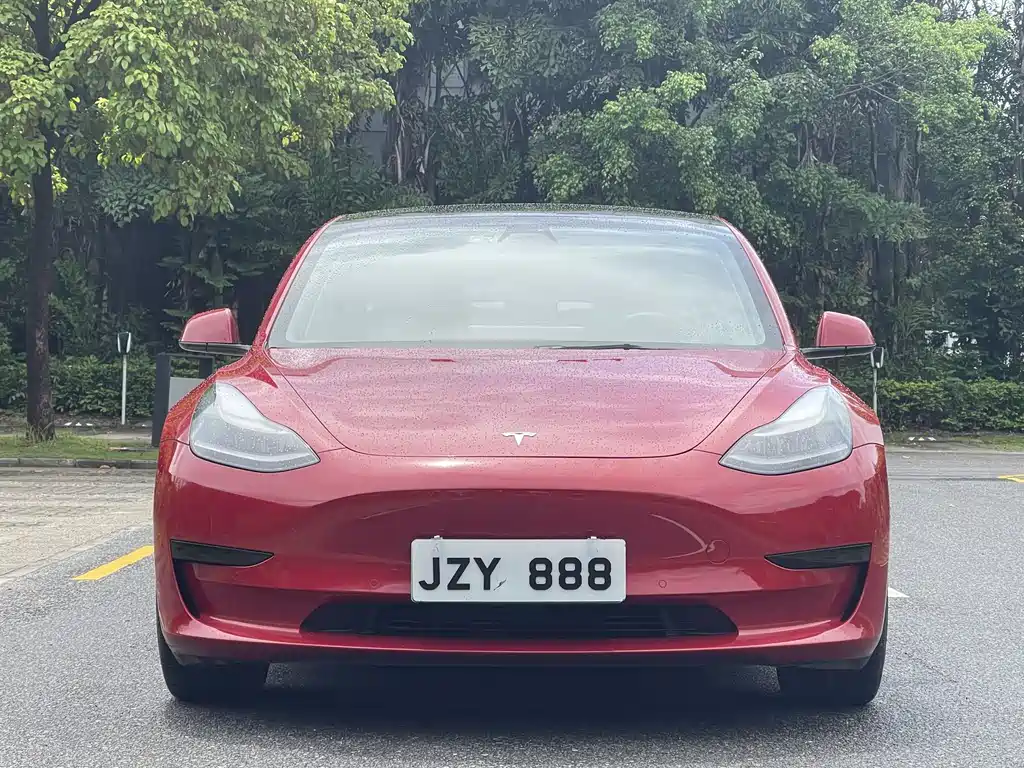 Tesla Model 3 2021