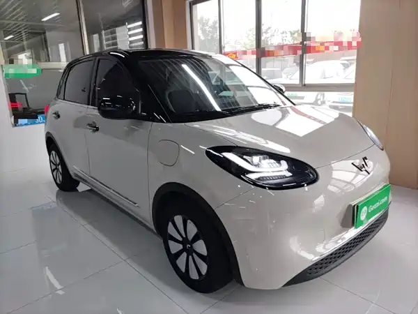 Wuling Bingo 2024