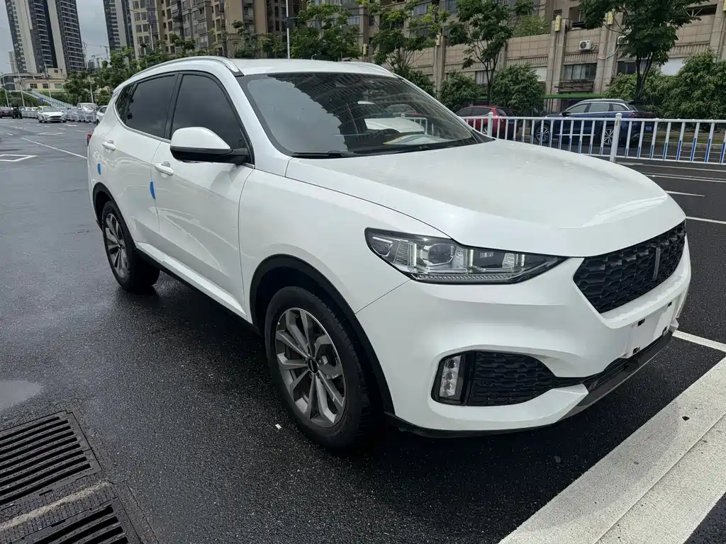 Wey VV6 2019