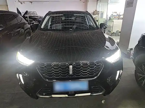 Wey VV5 2017