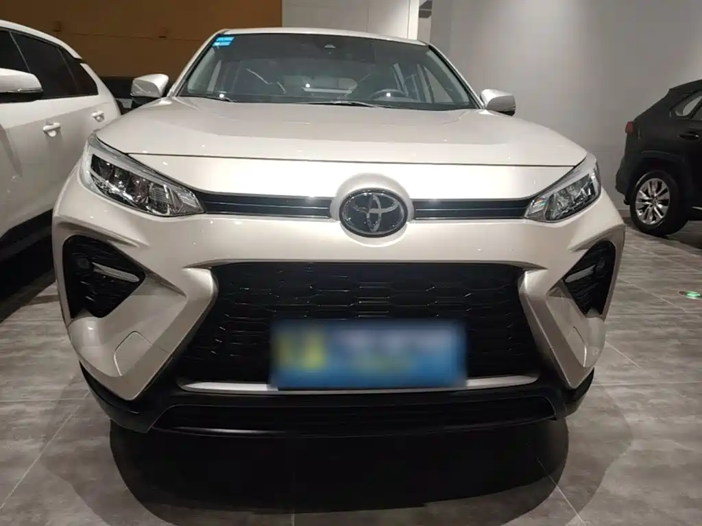 Toyota Wildlander 2021