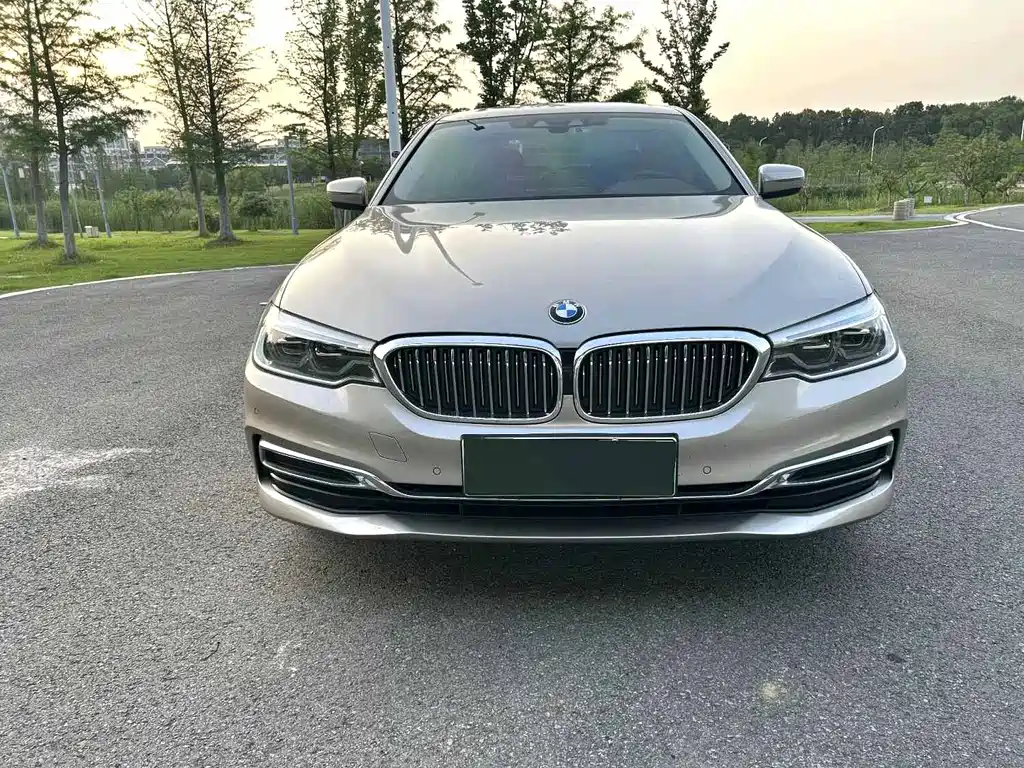 BMW 5 Series New Energy 2020 — фото 2