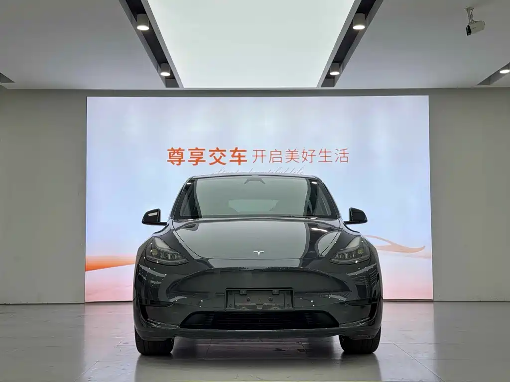 Tesla Model Y 2024 — фото 2